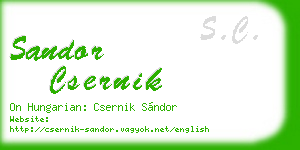 sandor csernik business card